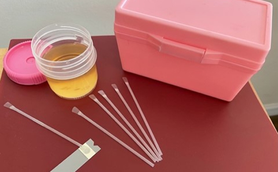 Single-Use Disposable Dispensing and Spreading Pipets